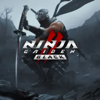 NINJA GAIDEN 2 Black Продажа игры